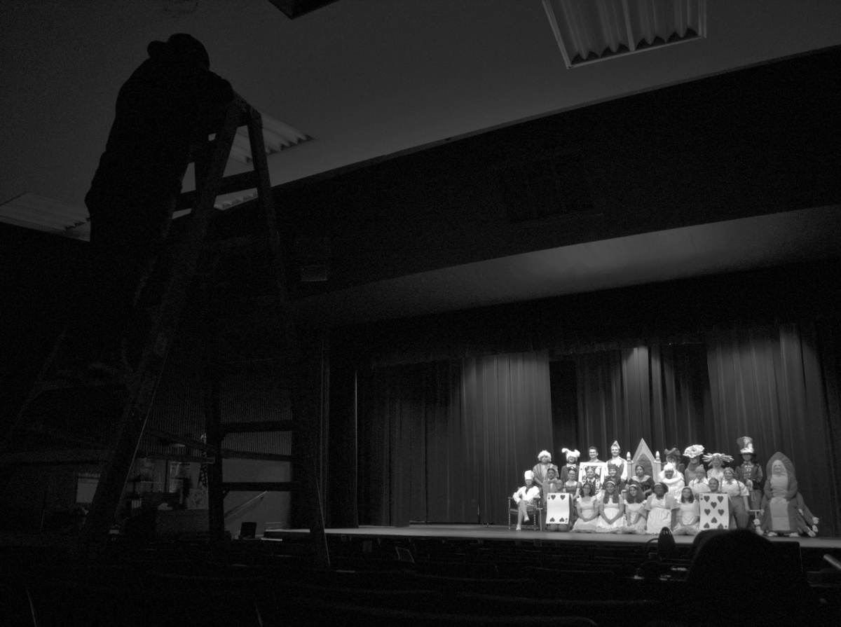 The cast in Learned Ladies lined up for a group photo